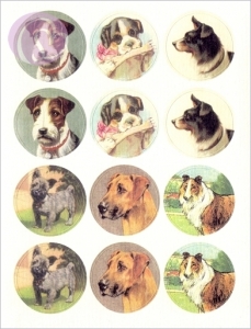 4023.180913.190102_cav_dog1