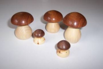 4132.180721.103442_pilz1