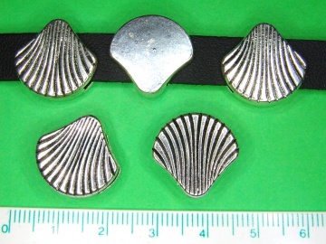 4178.180726.123857_muschelmp128