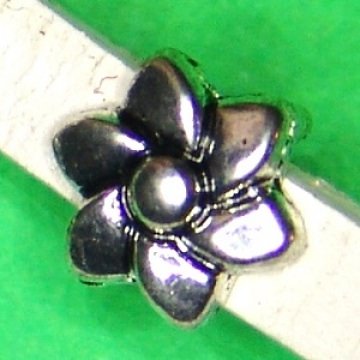 4178.180807.162000_5mmblumespitzigdetmp135