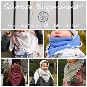 4294.180724.142452_schaltucheingemummelt