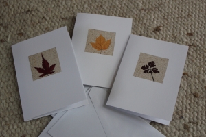 4590.181030.145831_herbst-bunt-1