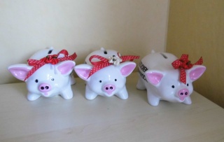 4650.180817.215032_schweine-schl-3