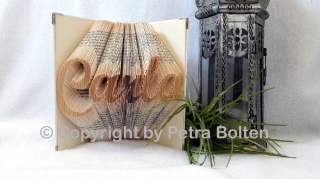 4718.180907.184109_carla