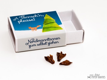 4756.180713.235641_nordmannsamen_1