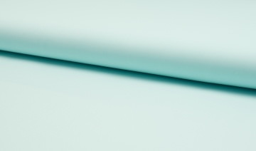 4912.180723.101810_mint
