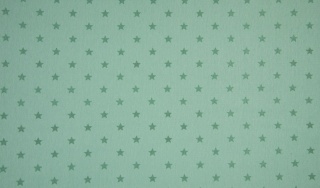 4912.180819.102112_rs0232-022dunkelmint