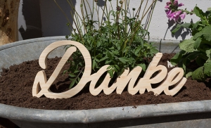 5369.180812.0050159_danke_alex_1