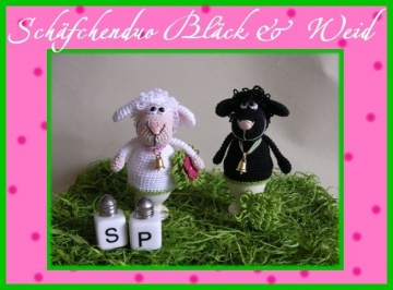 5596.180801.181516_schafduo