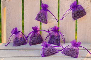 6070.181008.151632_lavendel