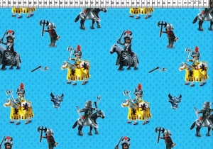 6373.181024.170216_playmobilritter