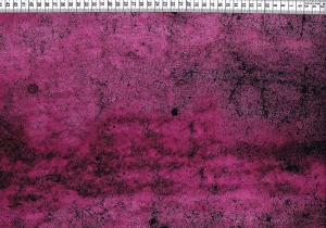 6373.181120.180024_stonepink
