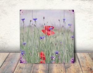 6692.180828.131809_mohn-korn-w