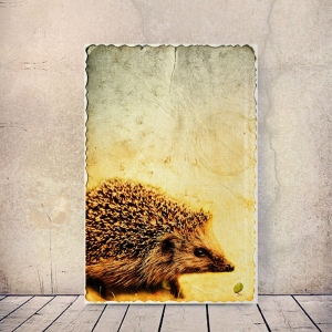 6692.180828.185759_igel-f
