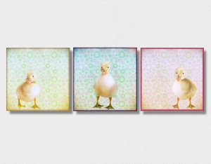 6692.180901.155702_dugs-trio-t