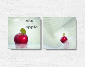 6692.181029.112538_apple