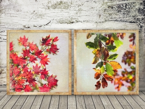 6692.181111.101921_herbstlaub-f