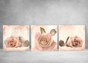 6692.190101.162904_rose