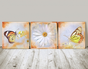 6692.190128.105615_schmetterling-blume1