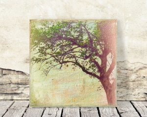 6692.190309.102554_tree
