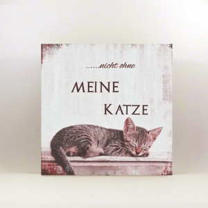 6692.190309.104156_katze