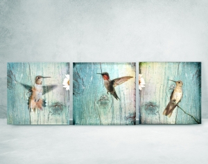 6692.190324.150212_trio-kolibri