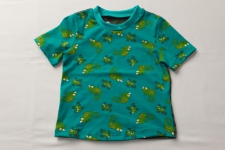 6705.180907.205157_shirtfroschvorn1