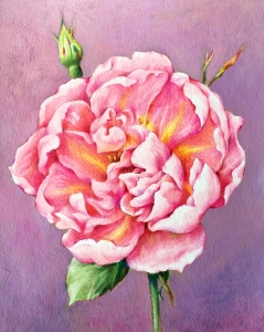 Original Aquarell  Rose, Mischtechnik, Rosa Mundi Bild, Original  Malerei  