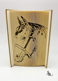 7293.190111.113743_00191_pferd_1