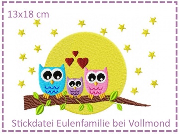 736.161218.155933_eulenfamiliebeivollmond_r