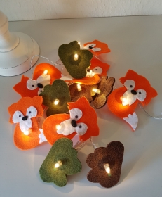 7824.190122.152840_lichterkettefuchs