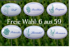 8680.190206.122042_kruterbundle1freiewah6aus59kopie