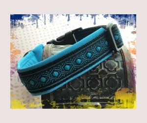 Halsband :-)